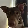 robdogg - @robland - TikTok