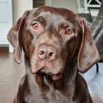 Rob Lantzendorffer - @lantzendorfferrob - Instagram