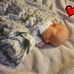 Rob Latimer - Facebook