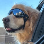 Rob Lawrence - @olliemonster420 - Instagram