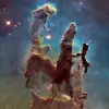 Rob Little505 - @rob.little - TikTok