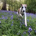 Rob Little - @rob.little.1690 - Instagram