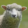 Rob littlebottom - @rob.littlebottom - TikTok