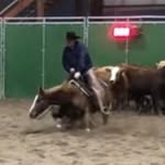 Robert Little - @rob.little - Instagram
