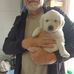 Rob Loewen - Facebook