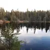 robertloewen7 - @robertloewen7 - TikTok