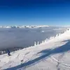 robloewen145 - @robloewen145 - TikTok