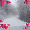 robynloewen66 - @robynloewen66 - TikTok