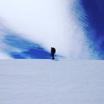 Rob Macaulay - @robmacaulay - Instagram