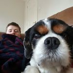 Rob Maclean - @rob.maclean15 - Instagram