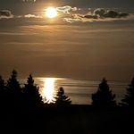 Rob MacLean - @maclean_rob - Instagram