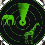 Rob Maclean - @africaliveapp - Instagram