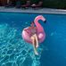 Mallory Robbins - Facebook