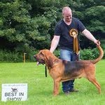 Rob Manley - @manleyrob - Instagram