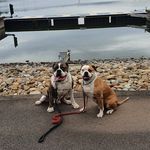 Rob Manley - @rob.manley - Instagram