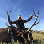 Rob Markham - @robmarkham5 - Instagram