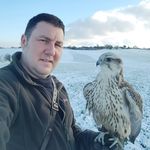 Taxidermy by Rob Marshall - @rob_marshall_taxidermist - Instagram