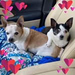 Robyn Martinson-Gallardo - @robyn_martinsongallardo - Instagram