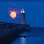 Rob Mccormack - @mccormack_rob - Instagram