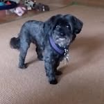 Rob McHugh - @mchugh9067 - Instagram