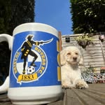 Rob Mcinnes - @r_mcinnes83 - Instagram