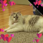 Robert Shoni Mclain - @shoni_mclain - Instagram