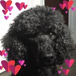 Rob McMillan - @rob.mcmillan.750 - Instagram
