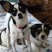 Robbie Mcvicar - Facebook