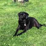 rob - @_rob.meehan_ - Instagram