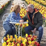 Rob Meijer - @rob.meijer.73345 - Instagram