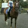 Robin Meijer - @robinmeijer2 - TikTok