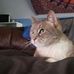 Rob Michel - Facebook