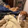 Robin Millard - @robin.millard4 - TikTok