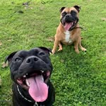 Rob Mitchell - @mitchell.rob - Instagram
