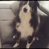 robmoon - @robmoon - TikTok