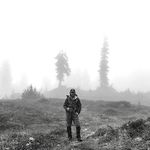 Rob Morgan - @this.wild.dream - Instagram