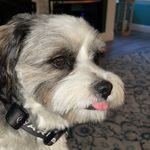 Rob - @rob_morin14 - Instagram