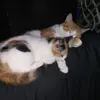 robmorse20 - @rob.morse4 - TikTok