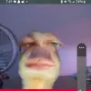 Robert Mounts - @robert.mounts1 - TikTok