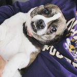 Rob Neumann - @rcneuma - Instagram