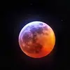 robertbobneville3459 - @rbobneville - TikTok