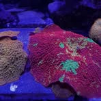 Rob Osorio - Facebook