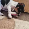 robparrott2 - @robparrott2 - TikTok