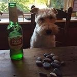 Rob Peacock - @rubyrobby - Instagram