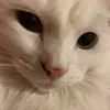 robbie.drpepper - @robbie.drpepper - TikTok
