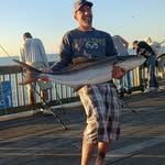 Robert Pepper - @rob_pepper - Instagram