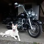 Rob Phelan - @phelan.rob.mary - Instagram