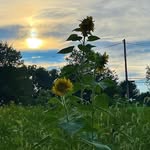Rob Phelan - @phelan7014 - Instagram