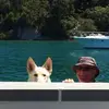 Rob Phelan - @rob.phelan - TikTok