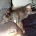 Rob Phelan - Facebook